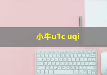 小牛u1c uqi